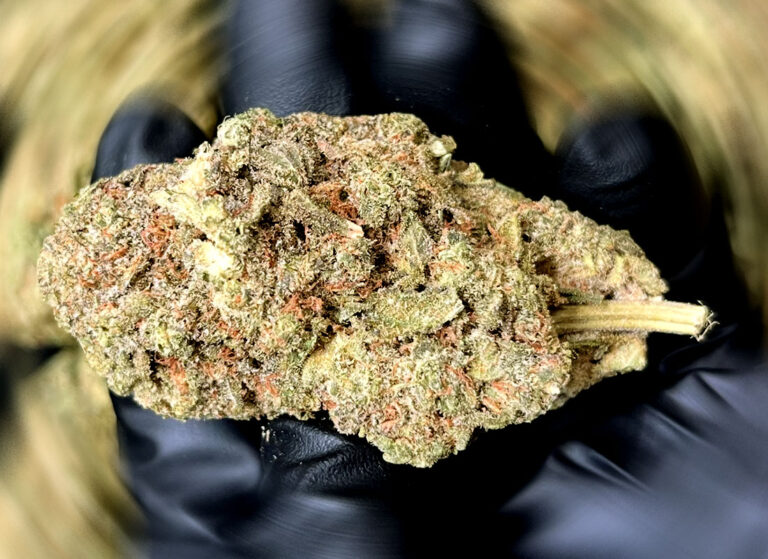What Makes Cannabis Top Shelf?