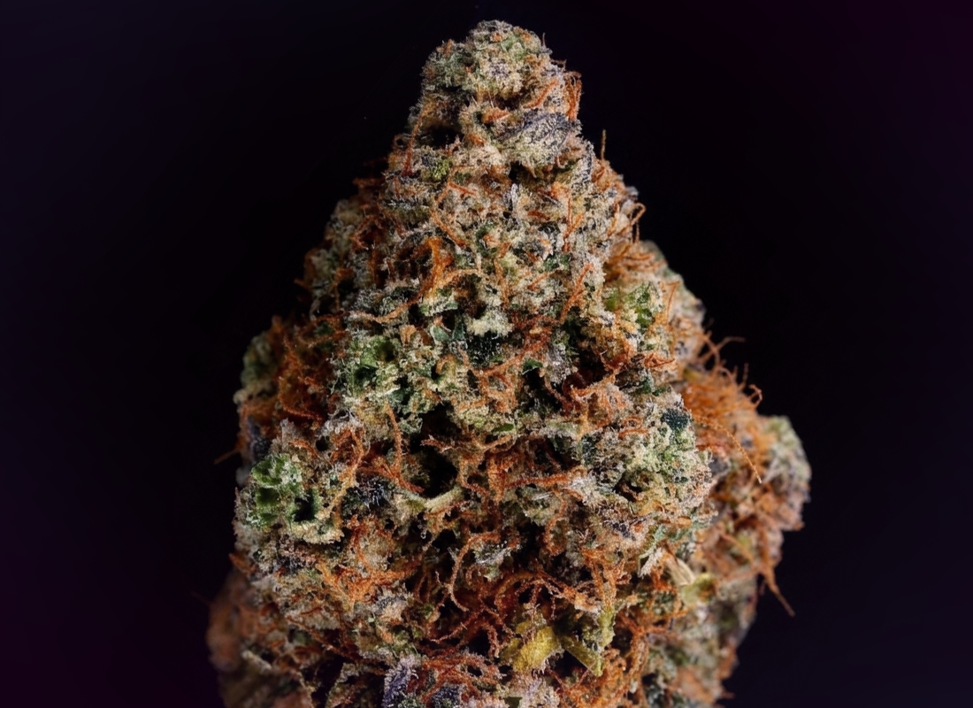Night Owl Haze – Premium Indoor Flower