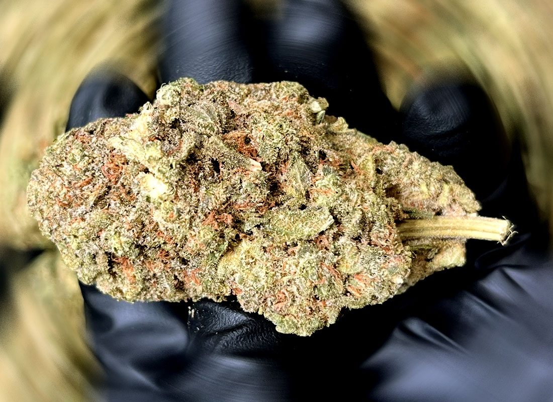 WAAVY-Top-Shelf